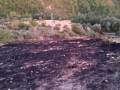 incendi