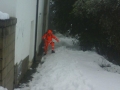 neve