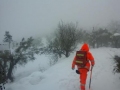 neve4