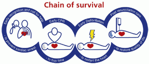 Catena della sopravvivenza